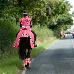 2023 Equisafety Hi-Vis Waterproof Wrap Around Exercise Rug WRUG - Pink -THE DRILLSHED Shop 6120 202320Equisafety20Hi Vis20Waterproof20Wrap20Around20Exercise20Rug20WRUG20 20Pink 20Lifestyle.700x700