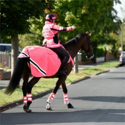 2023 Equisafety Hi-Vis Waterproof Wrap Around Exercise Rug WRUG - Pink -THE DRILLSHED Shop 6120 202320Equisafety20Hi Vis20Waterproof20Wrap20Around20Exercise20Rug20WRUG20 20Pink20Lifestyle202.700x700