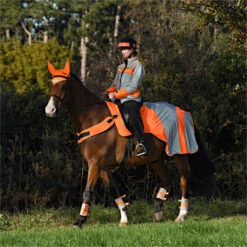2023 Equisafety Mercury Reflective Exercise Rug MRUG-RO - Orange Colour Orange -THE DRILLSHED Shop 6121 202320Equisafety20Mercury20Reflective20Exercise20Rug20MRUG RO20 20Orange 20Lifestyle.700x700