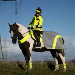 2023 Equisafety Mercury Reflective Exercise Rug MRUG-RO - Yellow Colour Yellow -THE DRILLSHED Shop 6122 202320Equisafety20Mercury20Reflective20Exercise20Rug20MRUG RO20 20Yellow 20Lifestyle202.700x700