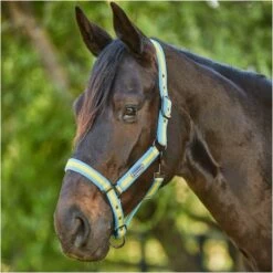 2023 Weatherbeeta Comfitec Essential Standard Neck Lite Turnout With FREE Headcollar - Seahorse Print -THE DRILLSHED Shop 6125 202320Weatherbeeta20Comfitec20Essential20Standard20Neck20Lite20Coordinate20Headcollar20100042031002094020 20Seahorse20Print20Light20Blue20Headcollar20Close20Up201.700x700