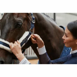 2023 Eskadron Double Pin Matt Gloss Evo-Wool Headcollar 420831 838 - Navy -THE DRILLSHED Shop 6288 esk 0123 kam 420831 838 380 add1.700x700