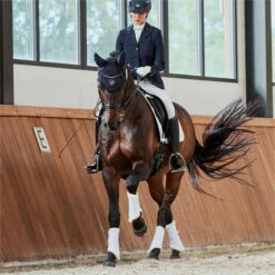 2023 Eskadron Mesh Evo-Wool Tendon Boots 555131 663 - White -THE DRILLSHED Shop 6292 632620Lifestyle202.700x700