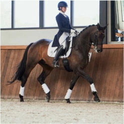 2023 Eskadron Highgloss Peacock Saddle Cloth & Round Bridle Number Holder Bundle PSNH23 - White -THE DRILLSHED Shop 6323 6273 202320Eskadron20Highgloss20Peacock20Saddle20Cloth202147312054420 20White20Lifestyle203.2000x2000.700x700