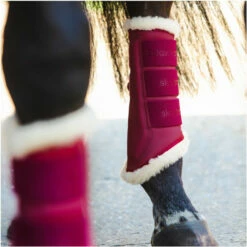 2023 Eskadron Cotton Compact Saddle Pad & Softslate Evo-Wool Brushing Boots Bundle 222087555087 - Pink Colour Pink -THE DRILLSHED Shop 6328 6099 202320Eskadron20Softslate20Evo Wool20Brushing20Boots2055508720 20Pink20Main.2000x2000.700x700