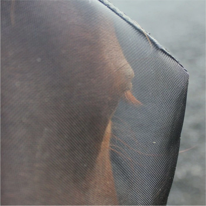 2023 Woof Wear UV Fly Mask Without Ears & UV Nose Protector Bundle FMNPUV23 - Black / Turquoise Colour Black / Turquoise 6 2023 Woof Wear UV Fly Mask Without Ears & UV Nose Protector Bundle FMNPUV23 - Black / Turquoise Colour Black / Turquoise - Image 4