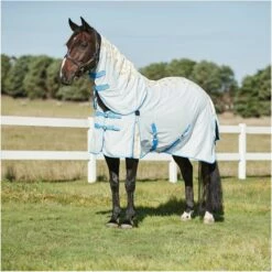 2023 Weatherbeeta Summer Sheet IV Lite Rug & Fly Mask SUPER DEAL WTRFM1 - Seahorse Print / Black / Turquoise -THE DRILLSHED Shop 6373 202320Weatherbeeta20Summer20Sheet20IV20Lite20Combo20Neck20Rug201018381020 20Seahorse20print.2000x2000.700x700