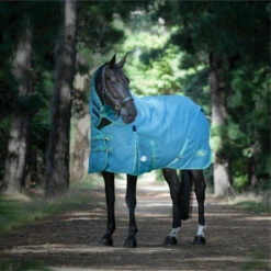 2023 Weatherbeeta Green-Tec 1200D Detach-A-Neck Lite Plus Turnout Rug - Dragonfly Blue / Bottle Green -THE DRILLSHED Shop 6379 202320Weatherbeeta20Green Tec201200D20Detach A Neck20Lite20Plus20Turnout20Rug20 20Dragonfly20Blue202.700x700
