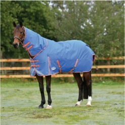 2023 Weatherbeeta Comfitec Plus Dynamic II Detach-A-Neck Medium Turnout Rug 10069170 - Royal Blue / Bright Orange Colour Royal Blue/Bright Orange -THE DRILLSHED Shop 6384 202320Weatherbeeta20Comfitec20Plus20Dynamic20II20Detach A Neck20Medium20Turnout20Rug201006917020 20Royal20Blue2020Bright20Orange202.700x700