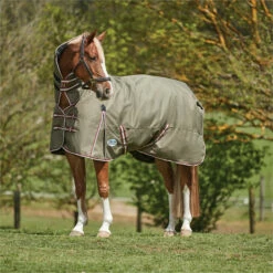 2023 Weatherbeeta Comfitec Essential Combo Neck Medium Turnout Rug 10004151 - Olive Green / Burgundy / White Colour Olive Green / Burgundy / White -THE DRILLSHED Shop 6385 202320Weatherbeeta20Comfitec20Essential20Combo20Neck20Medium20Turnout20Rug201000415120 20Olive20Green2020Burgundy2020White202.700x700