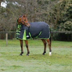 2023 Weatherbeeta Comfitec Classic Combo Neck Medium Turnout Rug 1000423 - Black / Lime Green Colour Black/Lime Green -THE DRILLSHED Shop 6387 202320Weatherbeeta20Comfitec20Classic20Combo20Neck20Medium20Turnout20Rug20100042320 20Black20Lime20Green20202.700x700