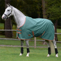 2023 Weatherbeeta Comfitec Tyro Combo Neck Medium Turnout Rug 1021798 - Green / Burnt Orange / White -THE DRILLSHED Shop 6388 202320Weatherbeeta20Comfitec20Tyro20Combo20Neck20Medium20Turnout20Rug20102179820 20Green2020Burnt20Orange2020White202.700x700