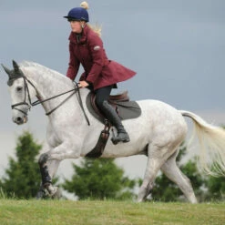 2023 Weatherbeeta Prime Jump Shaped Saddle Pad 1000747 - Olive Colour Olive 7 2023 Weatherbeeta Prime Jump Shaped Saddle Pad 1000747 - Olive Colour Olive -THE DRILLSHED Shop 6398 Weatherbeeta20Prime20Jump20Shaped20Saddle20Pad20100074720 20Olive202.700x700