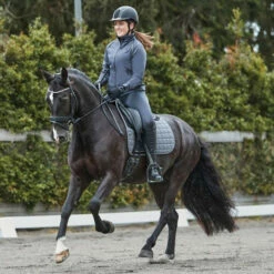 2023 Weatherbeeta Ultra Grip Dressage Pad 10036090 - Grey Colour Grey -THE DRILLSHED Shop 6404 202320Weatherbeeta20Ultra20Grip20Dressage20Pad201003609020 20Grey203.700x700