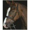 2022 Collegiate Mono Crown Padded Raised Cavesson Bridle 80088 - Brown Colour Brown -THE DRILLSHED Shop 68c3a49927c5db4c8773d76720c80f2a.700x700
