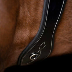 2023 HV Polo Legacy Dressage Girth 1607093500 - Black -THE DRILLSHED Shop 6917 202320HV20Polo20Legacy20Dressage20Girth20160709350020 20Black202.700x700