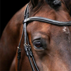 2023 HV Polo Legacy Bridle 1201093500 - Black Colour Black -THE DRILLSHED Shop 6920 202320HV20Polo20Legacy20Bridle20120109350020 20Black203.700x700