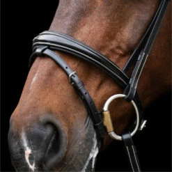 2023 HV Polo Legacy Bridle 1201093500 - Black Colour Black -THE DRILLSHED Shop 6920 202320HV20Polo20Legacy20Bridle20120109350020 20Black204.700x700