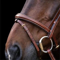 2023 HV Polo Legacy Bridle 1201093500 - Brown Colour Brown -THE DRILLSHED Shop 6921 202320HV20Polo20Legacy20Bridle20120109350020 20Brown204.700x700