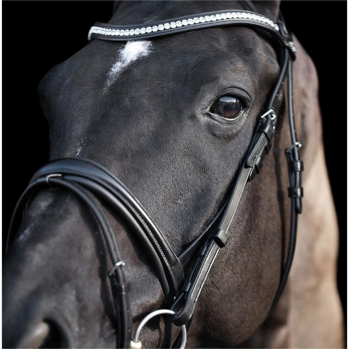 2023 HV Polo Legacy Deluxe Bridle 1201093501 - Black Colour Black 7 2023 HV Polo Legacy Deluxe Bridle 1201093501 - Black Colour Black - Image 5