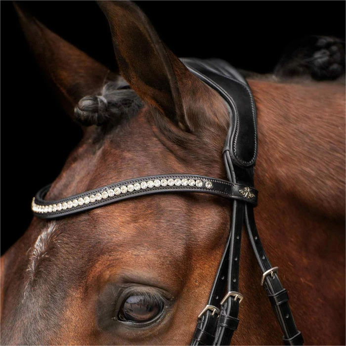 2023 HV Polo Legacy Deluxe Bridle 1201093501 - Black / White Colour Black/White 4 2023 HV Polo Legacy Deluxe Bridle 1201093501 - Black / White Colour Black/White - Image 2