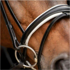 2023 HV Polo Legacy Deluxe Bridle 1201093501 - Black / White Colour Black/White 7 2023 HV Polo Legacy Deluxe Bridle 1201093501 - Black / White Colour Black/White -THE DRILLSHED Shop 6924 202320HV20Polo20Legacy20Deluxe20Bridle20120109350120 20Black20White20A3.700x700