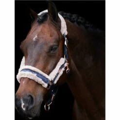 2023 HV Polo Welmoed Shine Headcollar 1601093452 - Navy Colour Navy -THE DRILLSHED Shop 6943 4479fbad1324eab923fa7919ef64bb06ef5a2bbd 1601093452 5001 mfront.700x700