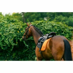 2023 HV Polo Dorian Dressage Saddle Pad 802093510 - Ginger Colour Ginger -THE DRILLSHED Shop 6948 LA 04209.700x700