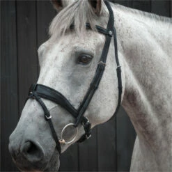 2023 Henry James Saddlery Dressage Bridle HJ-BR-03 - Black Colour Black -THE DRILLSHED Shop 6998 202320Henry20James20Saddlery20Dressage20Bridle20HJ BR 0320 20Black203.700x700