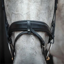 2023 Henry James Saddlery Dressage Bridle HJ-BR-03 - Black Colour Black -THE DRILLSHED Shop 6998 202320Henry20James20Saddlery20Dressage20Bridle20HJ BR 0320 20Black204.700x700