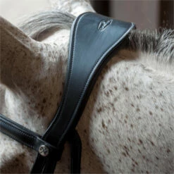 2023 Henry James Saddlery Dressage Bridle HJ-BR-03 - Black Colour Black -THE DRILLSHED Shop 6998 202320Henry20James20Saddlery20Dressage20Bridle20HJ BR 0320 20Black205.700x700