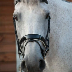 2023 Henry James Saddlery Patent Dressage Bridle With White Padding HJ-BR-07 - Black -THE DRILLSHED Shop 7005 202320Henry20James20Saddlery20Patent20Dressage20Bridle20with20White20Padding20HJ BR 0720 20Black203.700x700