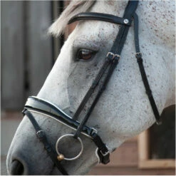 2023 Henry James Saddlery Patent Dressage Bridle With White Padding HJ-BR-07 - Black -THE DRILLSHED Shop 7005 202320Henry20James20Saddlery20Patent20Dressage20Bridle20with20White20Padding20HJ BR 0720 20Black204.700x700