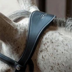 2023 Henry James Saddlery Patent Dressage Bridle With White Padding HJ-BR-07 - Black -THE DRILLSHED Shop 7005 202320Henry20James20Saddlery20Patent20Dressage20Bridle20with20White20Padding20HJ BR 0720 20Black206.700x700