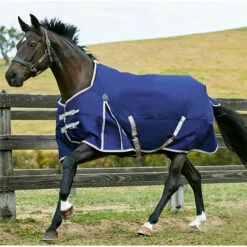 2022 Weatherbeeta Comfitec Essential Lite Standard Neck Turnout Rug - Navy / Silver