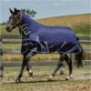 2022 Weatherbeeta Comfitec Essential Lite Plus Combo Neck Turnout Rug - Navy / Silver 2 2022 Weatherbeeta Comfitec Essential Lite Plus Combo Neck Turnout Rug - Navy / Silver -THE DRILLSHED Shop 843 1.700x700 2