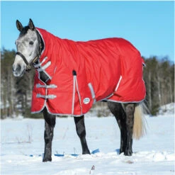 Weatherbeeta Comfitec Classic Heavy Combo Neck Rug - Red / Silver