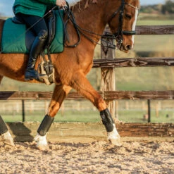 Equilibrium Tri-Zone All Sports Boots Black -THE DRILLSHED Shop ASB20Black20Set20120Web.700x700