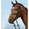 2022 Collegiate Syntovia+ Padded Raised Figure 8 Bridle 10031020 - Brown Colour Brown -THE DRILLSHED Shop Collegiate20Syntovia2B20Padded20Raised20Figure20820Bridle20 20Brown.700x700