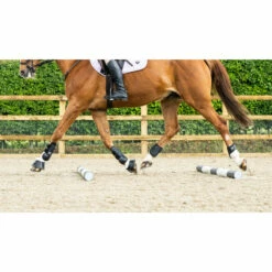 Woof Wear Pro Tendon Boots Black -THE DRILLSHED Shop DSC2512.700x700
