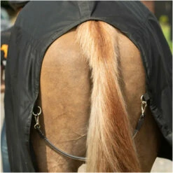 Equilibrium Magnetic Rug With Neck - Black -THE DRILLSHED Shop Equilibrium Magnetic Rug with Neck Black 6.700x700