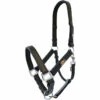 Equilibrium Stellar Headcollar - Black -THE DRILLSHED Shop Equilibrium Stella Headcollar Black.700x700