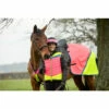 2022 Equisafety Charlotte Dujardin Hi Vis Multi Coloured Horse Sheet CD-MCQWS - Pink / Yellow 1 2022 Equisafety Charlotte Dujardin Hi Vis Multi Coloured Horse Sheet CD-MCQWS - Pink / Yellow -THE DRILLSHED Shop Equisafety Jan22 14520284292028129.700x700