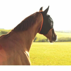 Equilibrium Field Relief Midi Fly Mask With Ears Black / Orange -THE DRILLSHED Shop Field20Relief20Midi20with20Muzzle20Fringe20Lifestyle20120Web1.700x700