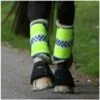 2022 Equisafety Polite Horse Leg Wraps POLLEG - Yellow -THE DRILLSHED Shop POLITE LEG BOOTS 8618786a e73b 4b43 b0fa 1be2f0e666bc.700x700