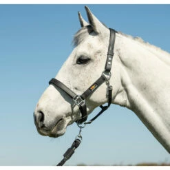 Equilibrium Stellar Headcollar - Black -THE DRILLSHED Shop Stellar20Black20Lifestyle20Square20Web.700x700