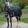 WeatherBeeta ComFiTec Premier With Therapy-Tec Detach-A-Neck Lite Plus Turnout Rug 10062120 - Black / Silver / Red -THE DRILLSHED Shop WeatherBeeta20ComFiTec20Premier20With20Therapy Tec20Detach A Neck20Lite20Plus201006212020 20Black20Silver20Red201.700x700