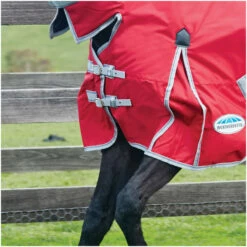 2022 Weatherbeeta Comfitec Classic Lite Combo Neck Turnout Rug - Red / Silver Colour Red/Silver -THE DRILLSHED Shop Weatherbeeta Comfitec Classic Combo Neck Lite Red 2.700x700