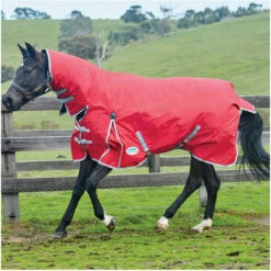 2022 Weatherbeeta Comfitec Classic Lite Combo Neck Turnout Rug - Red / Silver Colour Red/Silver