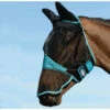 Weatherbeeta Comfitec Fine Mesh Mask With Ears & Nose - Black / Turquoise Colour Black/Turquoise -THE DRILLSHED Shop Weatherbeeta Comfitec Fine Mesh Mask With Ears Nose BlackTurquoise.700x700